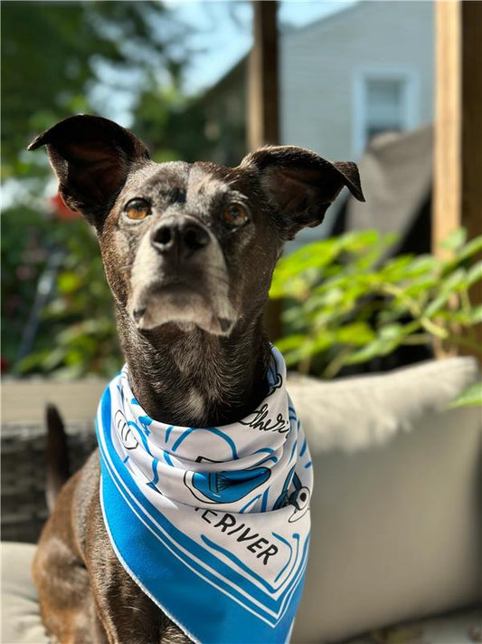 River Doodle Bandana