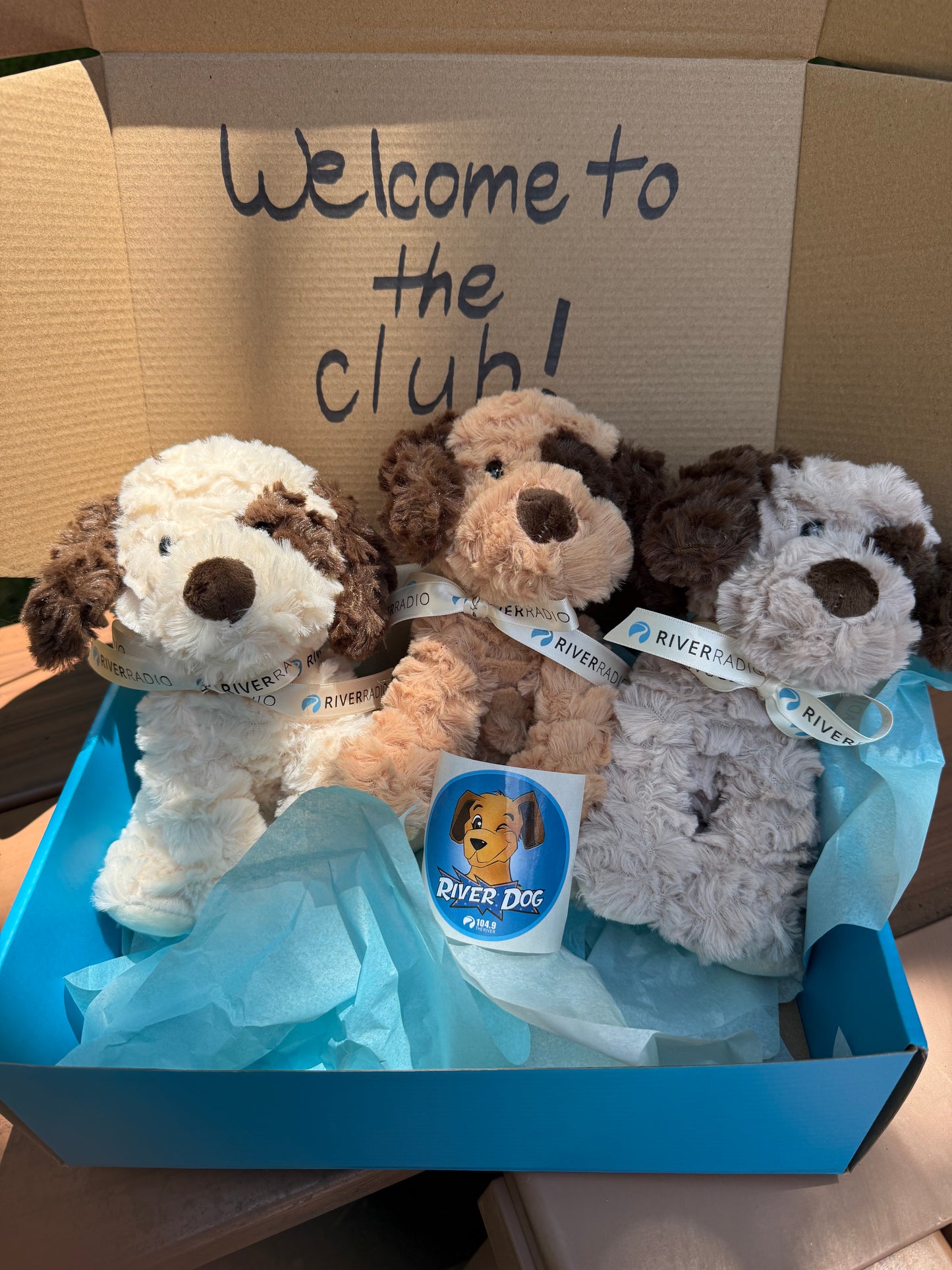 River Dog Kid's Club