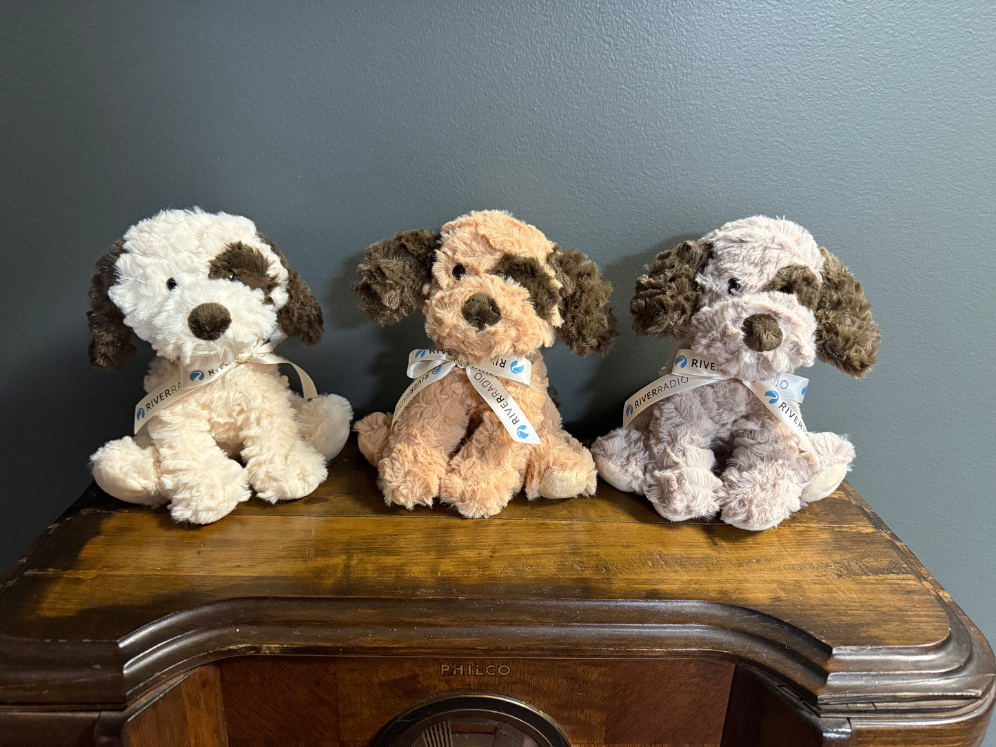 Adopt A River Dog- Support Local Shelters