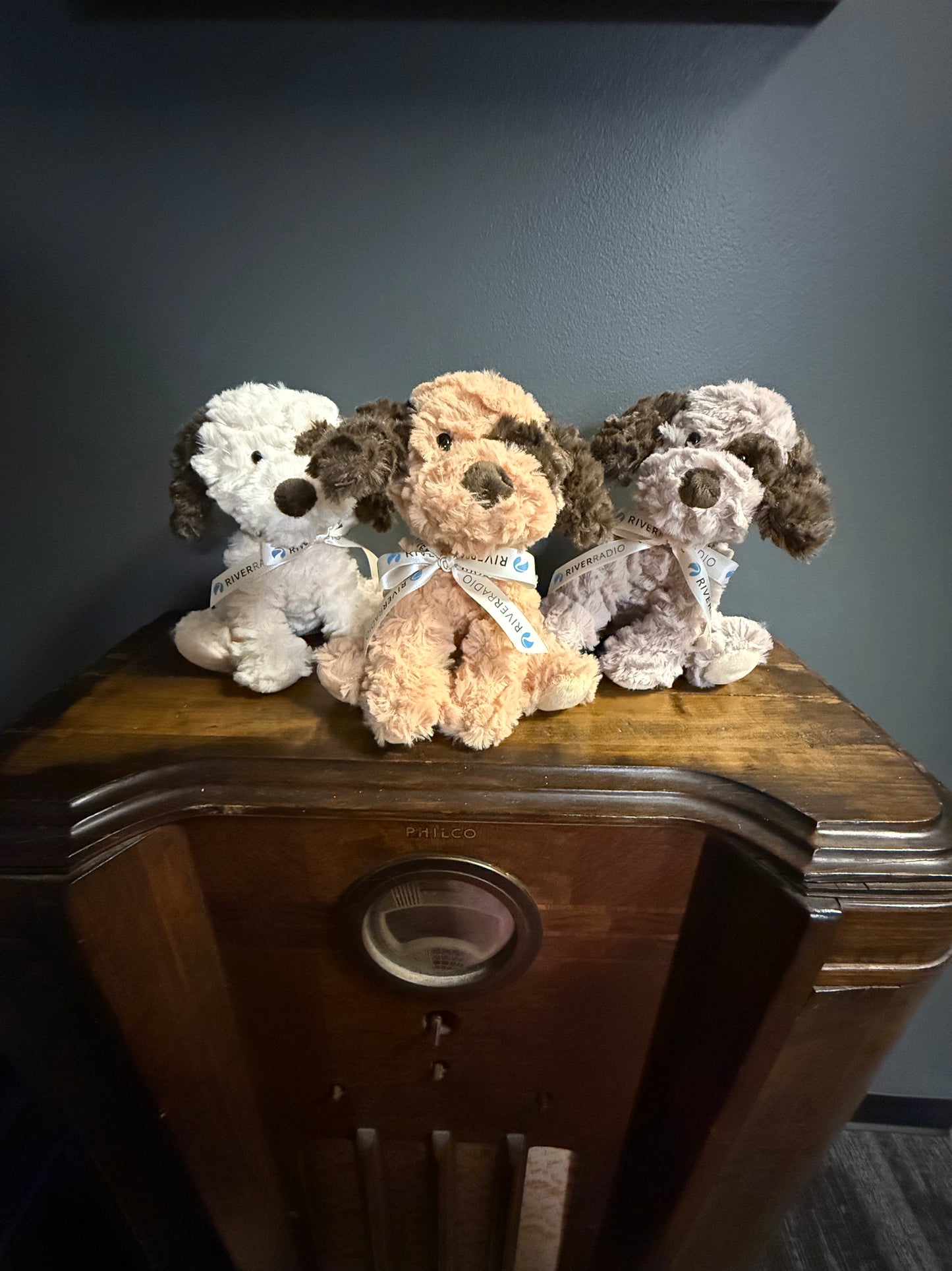 Adopt A River Dog- Support Local Shelters